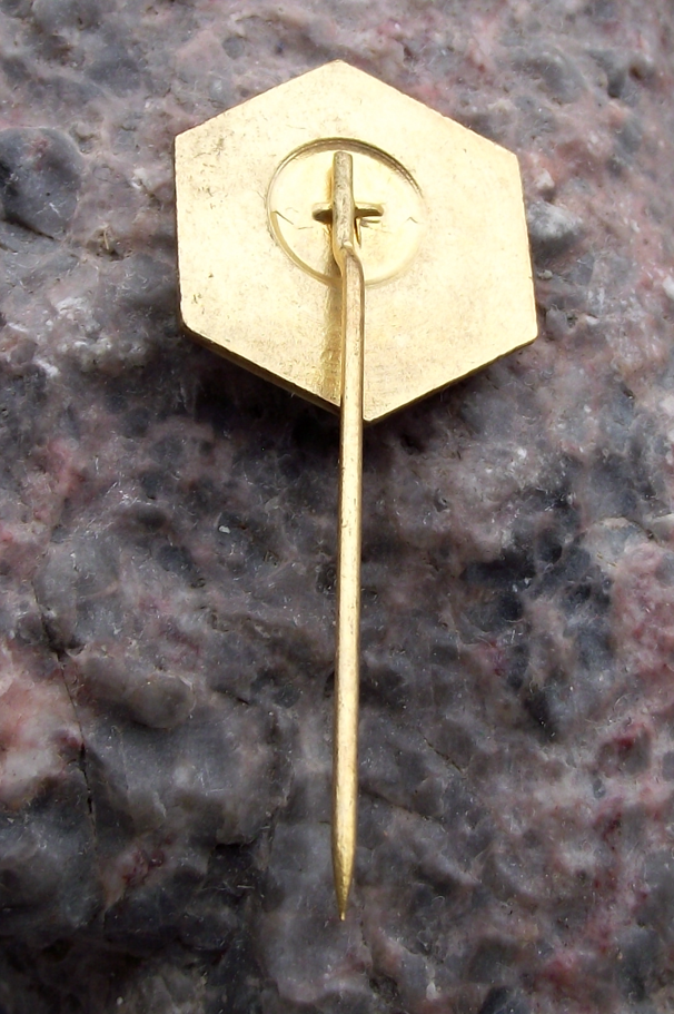 1987 CSV Czech Honey Bee Keeping Association All State Conference Pin Badge