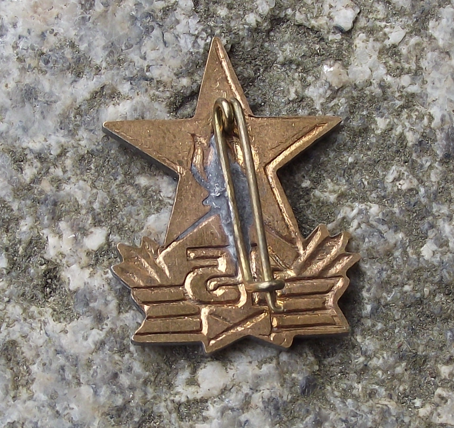1960 Hungary Young Pioneer Movement 15th Anniversary Star National Pin Badge - Badgecrazy