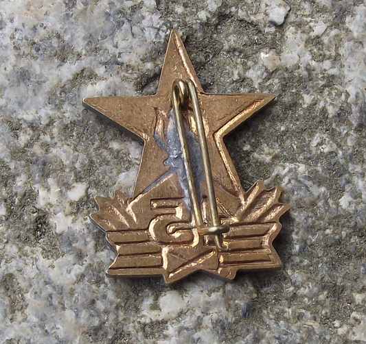 1960 Hungary Young Pioneer Movement 15th Anniversary Star National Pin Badge - Badgecrazy