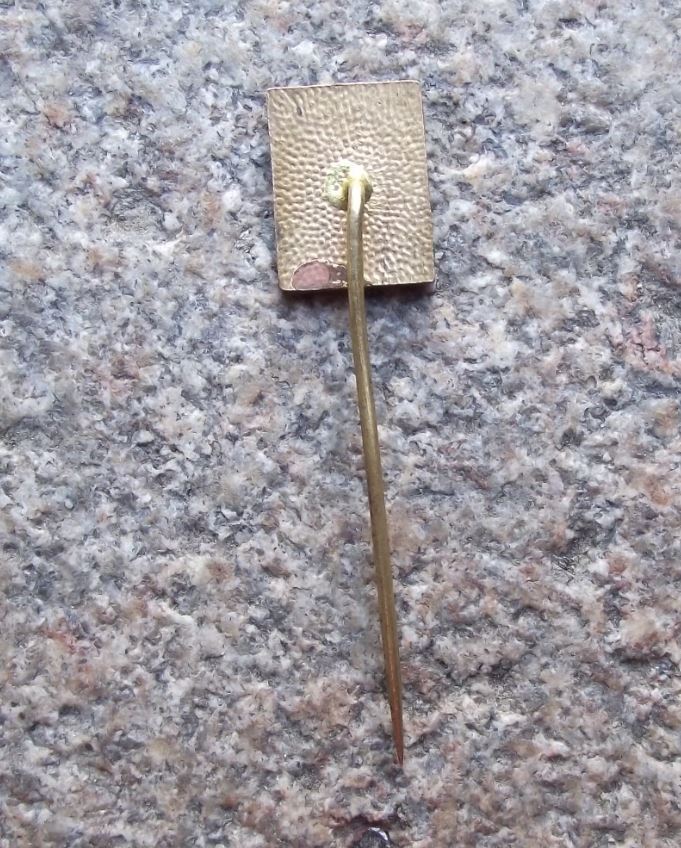 Zelezna Ruda Markt Eisenstein Church of Virgin Mary Tourist Souvenier Pin Badge