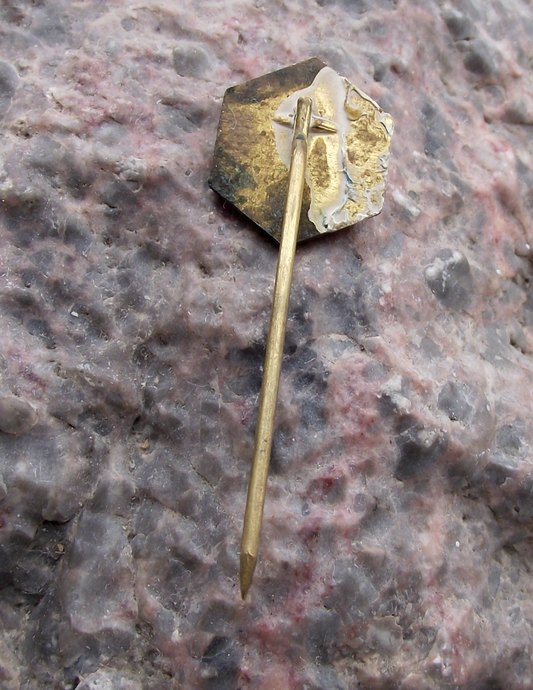 Vintage Slovakia National Honey Bee Keeping Association Club Members Pin Badge