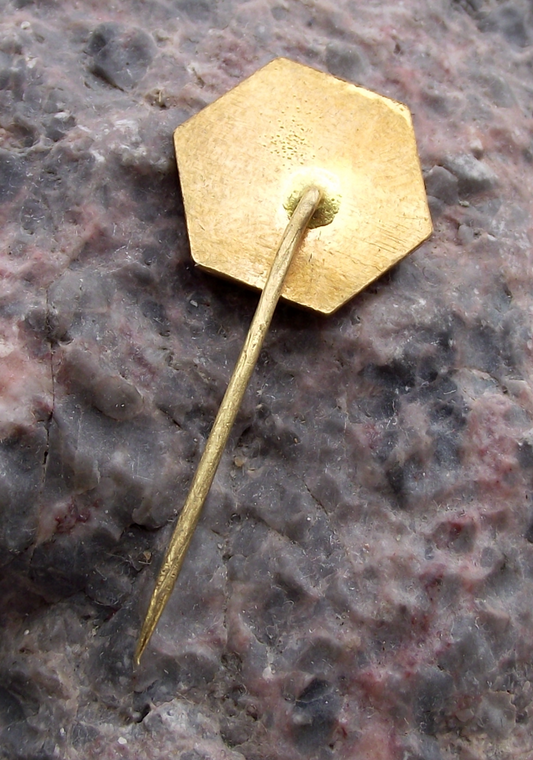 Vintage CSV Czech Bee Keeping Association Hexagon Pin Badge