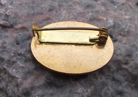 Vintage CSZ Czechoslovakia Womens Union Official Logo Pin Badge - Badgecrazy