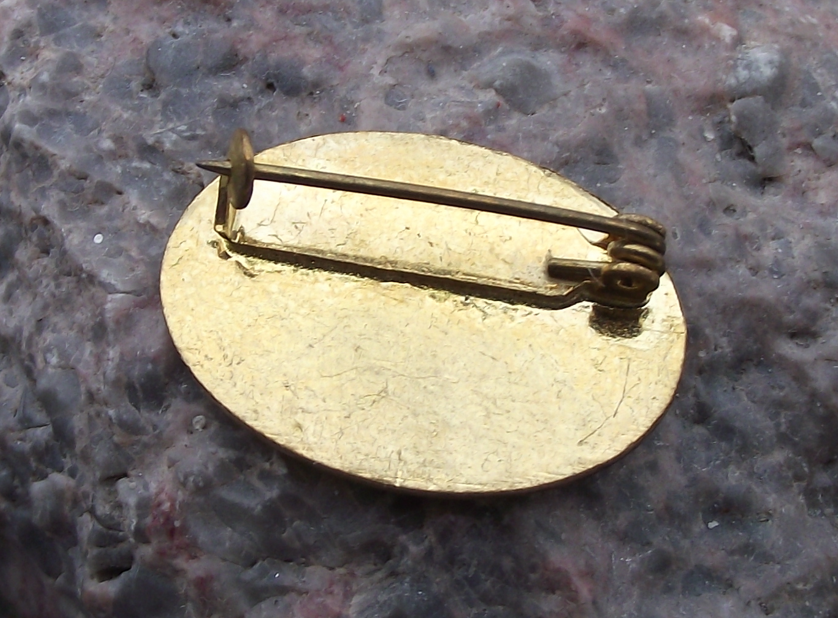 Vintage CSZ Czechoslovakia Womens Union Official Logo Pin Badge - Badgecrazy