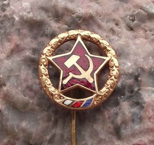 Vintage Communist Party KSC Czechoslovakia Slovak National Flag Pin Badge