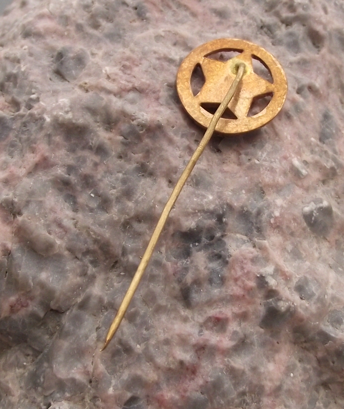 Vintage Communist Party KSC Czechoslovakia Slovak National Flag Pin Badge