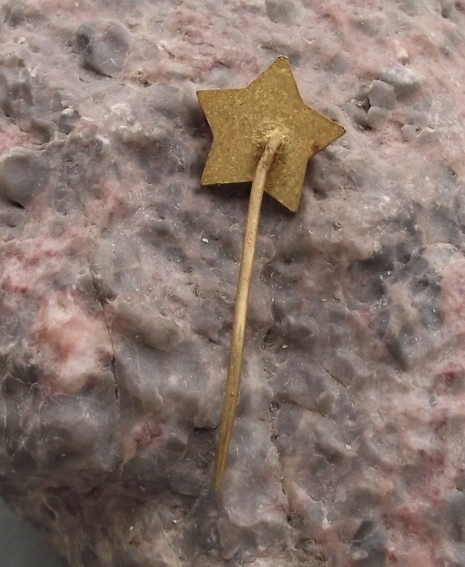 Vintage Communist Party Red Star and Carnation Flower Pin Badge