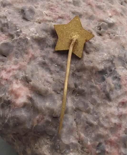 Vintage Communist Party Red Star and Carnation Flower Pin Badge - Badgecrazy