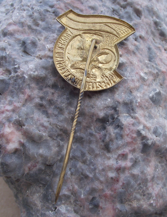 1948 Czechoslovakia Communist Party Celebration Pin Badge - Badgecrazy