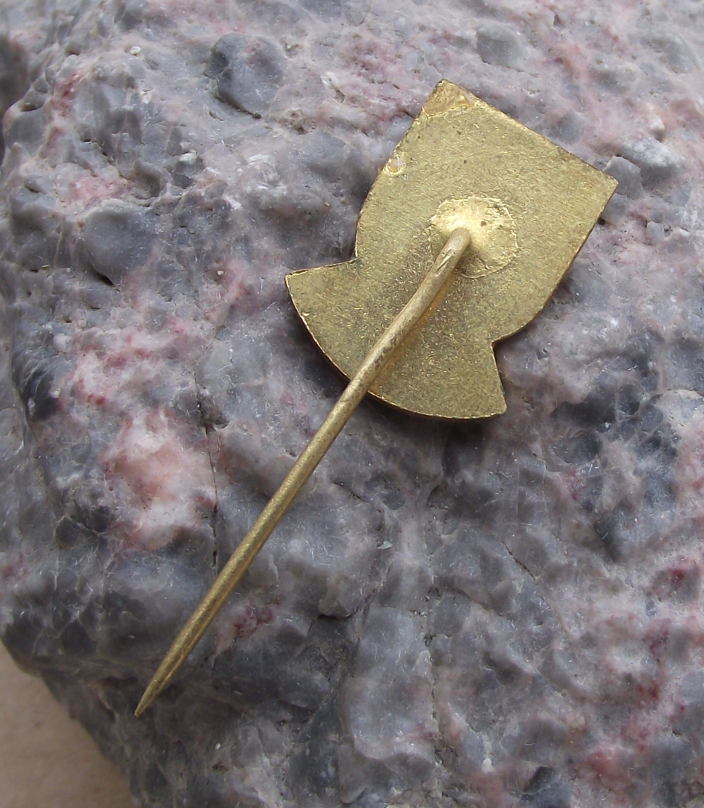 1976 Zubri Slovakia Handball Club Czechoslovakia 50th Anniversary Pin Badge - Badgecrazy