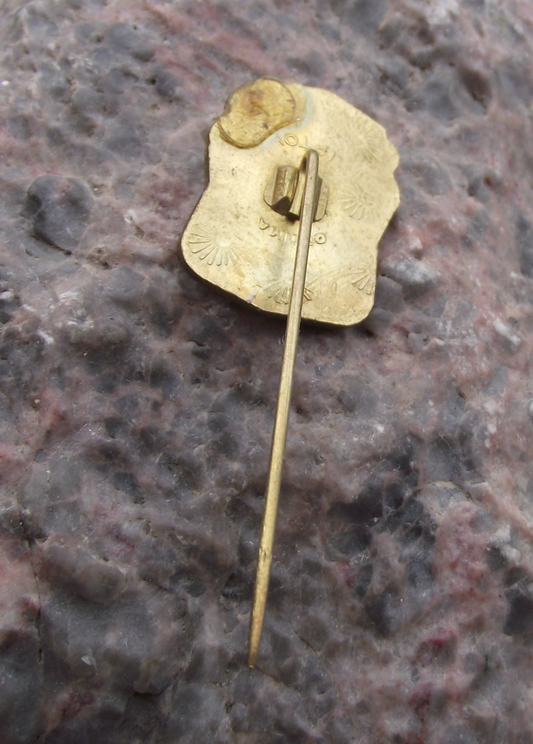 1978 Czechoslovakia Communist Party Conference KSC Nitra Pin Badge - Badgecrazy