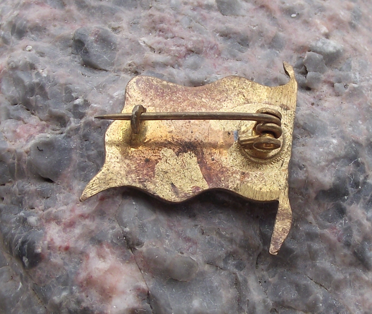 Vintage Austrian Austria National Flag Triband Clasp Pin Badge - Badgecrazy