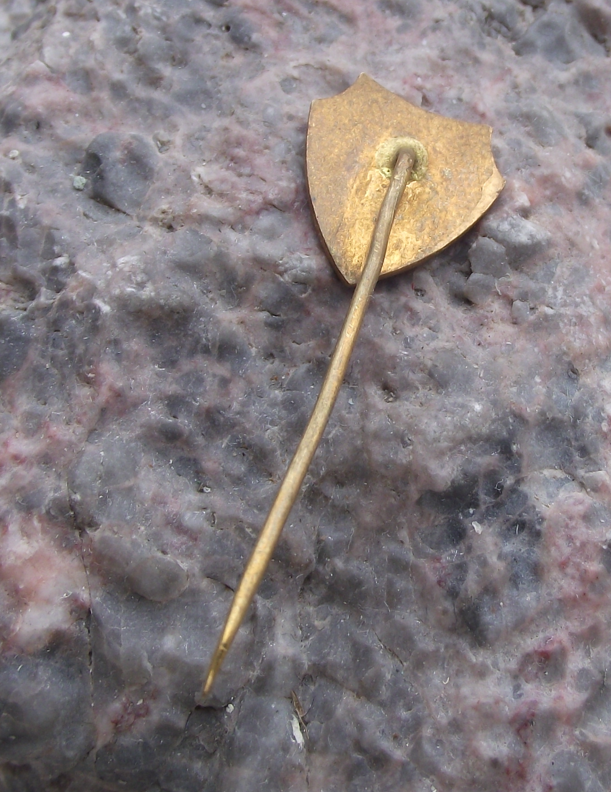 Vintage TJ Sokol Drevenice Czechoslovakia Volleyball Club Pin Badge - Badgecrazy