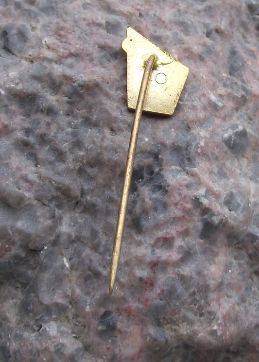 Vintage Slovakia Slovak Volleyball Association Members SVZ Pin Badge