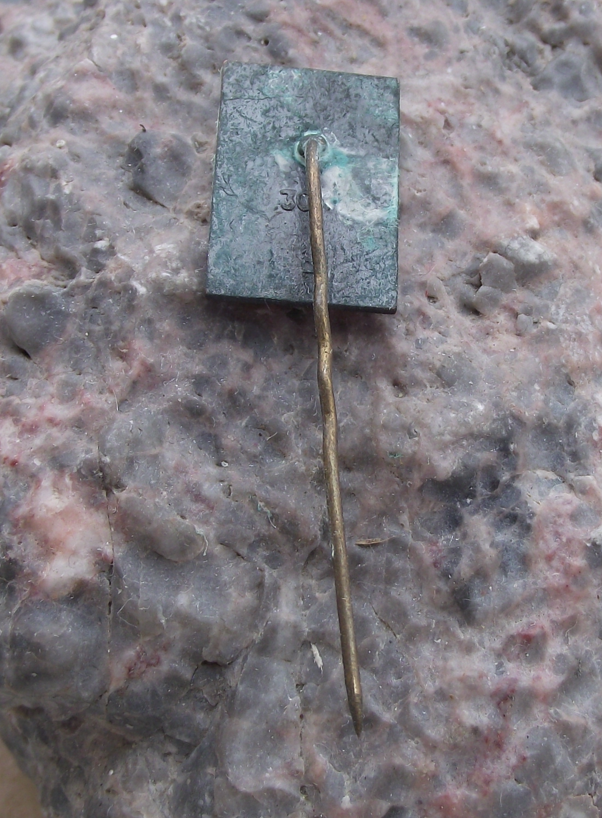 Vintage Latvia Latvija Araisi Windmill Drabesi Manor Pin Badge - Badgecrazy