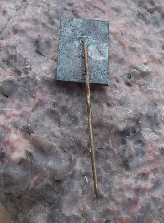 Vintage Latvia Latvija Araisi Windmill Drabesi Manor Pin Badge - Badgecrazy