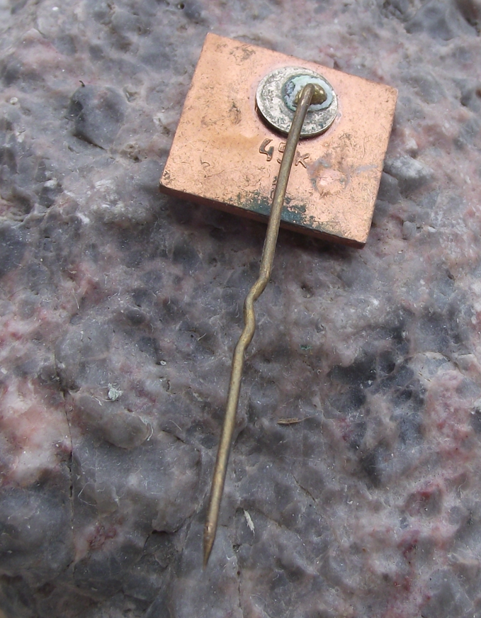 Vintage Latvia Latvian Green Hills and Pine Tree Pin Badge - Badgecrazy