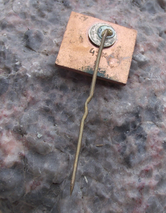 Vintage Latvia Latvian Green Hills and Pine Tree Pin Badge - Badgecrazy