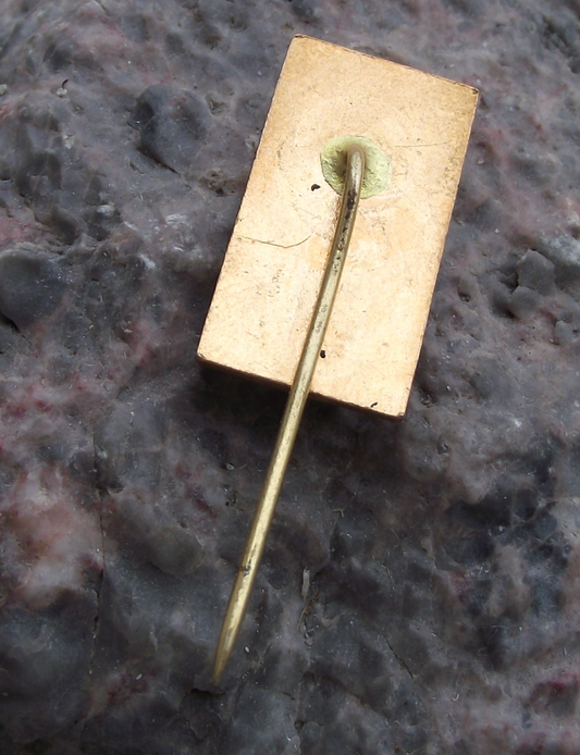 Rare SNB Terezin Theresienstadt Concentration Camp Museum Pin Badge - Badgecrazy