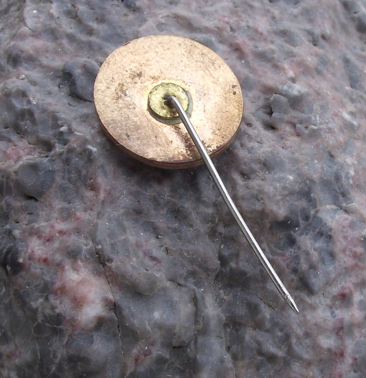 Vintage Lithuania SSR Lithuanian Soviet Socialist Republic Flag Pin Badge - Badgecrazy