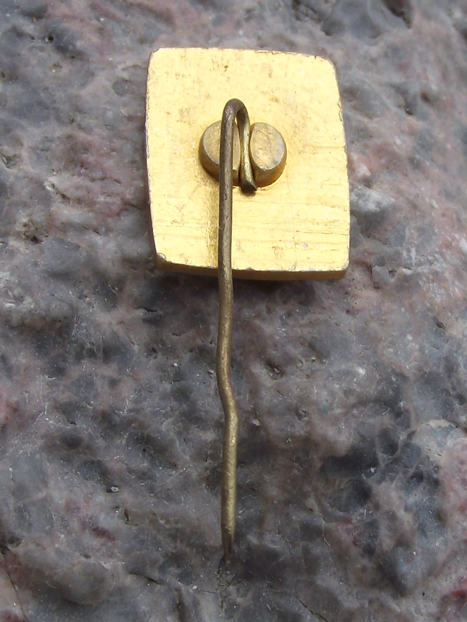 Vintage Lithuania Vilnius Capital City Legendary Iron Wolf Pin Badge - Badgecrazy