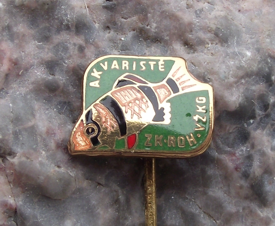Vintage Clown Loach Aquarist Tropical Fish Keeper Aquarium Club Pin Badge