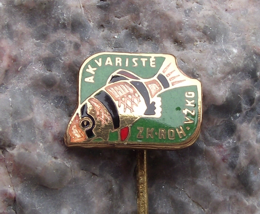 Vintage Clown Loach Aquarist Tropical Fish Keeper Aquarium Club Pin Badge