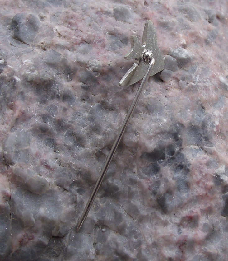 Vintage Angelfish Pterophyllum Aquarium Tropical Fish Club Letter R Pin Badge