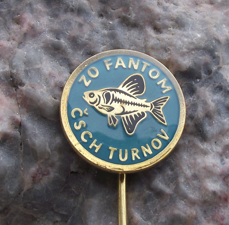 Vintage Aquarium Tropical Fish Turnov Black Phantom Tetra Club Pin Badge