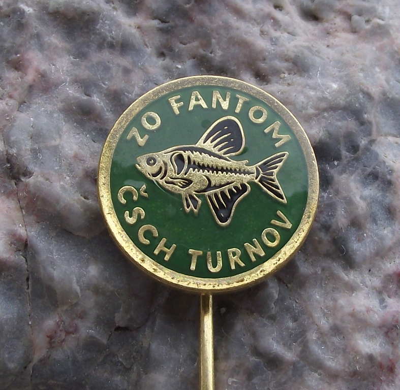 Vintage Aquarium Tropical Fish Turnov Black Phantom Tetra Club Pin Badge