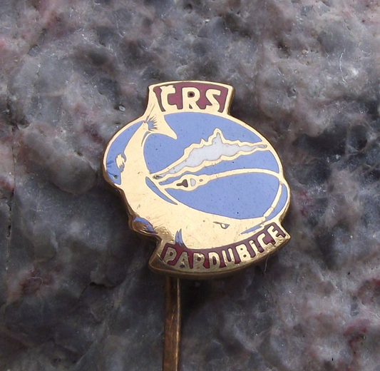 Vintage Pardubice Fishing Angling Association Pike Fish CSRS Members Pin Badge