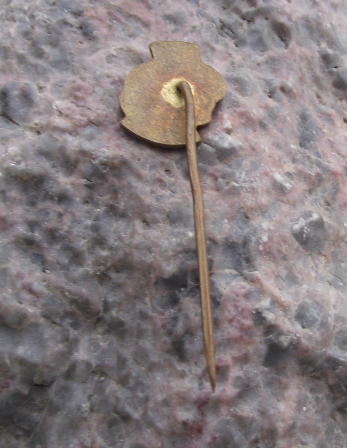 Vintage Pardubice Fishing Angling Association Pike Fish CSRS Members Pin Badge