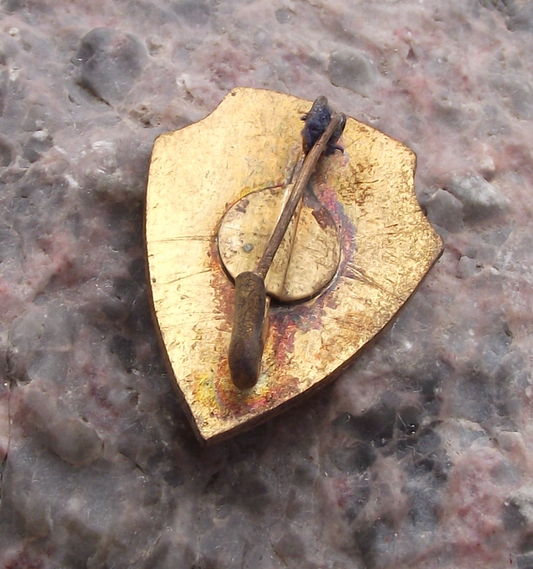Vintage Arabic Arab Steel Workers Trade Union UAP Pin Badge