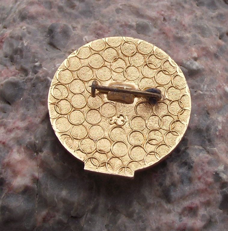 Vintage CGT Reunion Island France Trade Union Workers Member Pin Badge