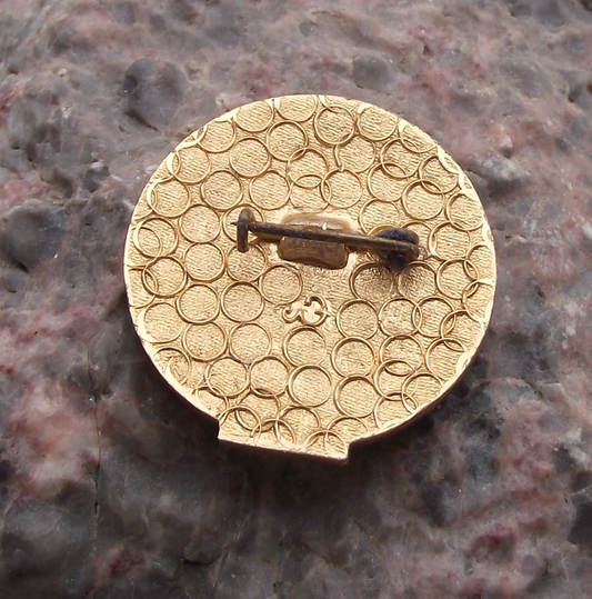 Vintage CGT Reunion Island France Trade Union Workers Member Pin Badge