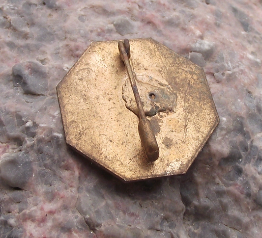 1973 Arabic 8th FSM Conference Varna Bulgaria Pin Badge