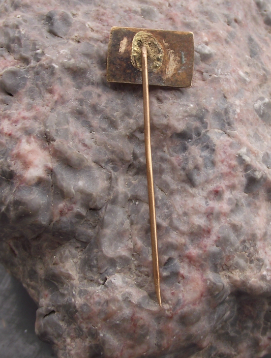 Vintage Vinohrady Prague Czechoslovakia Fishing Association Pike Pin Badge