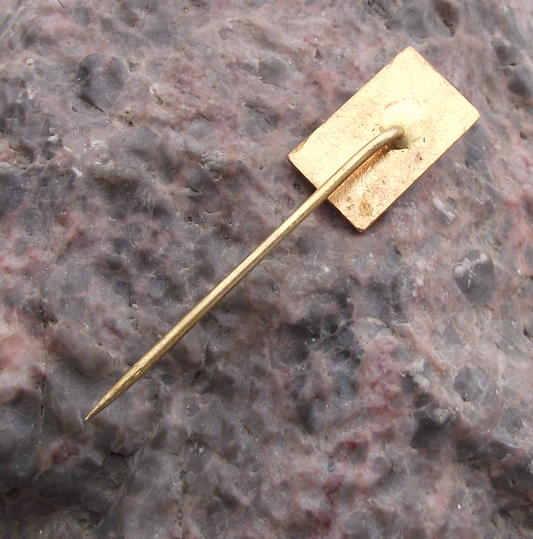 Vintage Moravska Trabon Fishing Association CRS Czech Membership Pin Badge