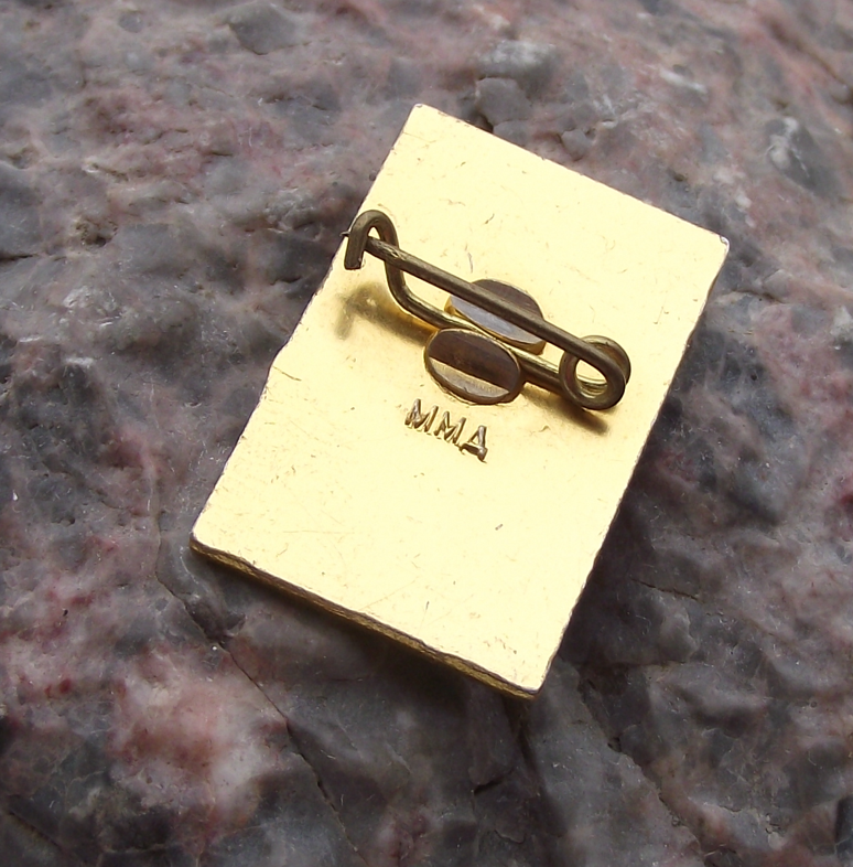 Vintage VI Lenin Socialist Revolutionary Russian Laurel Leaves Pin Badge