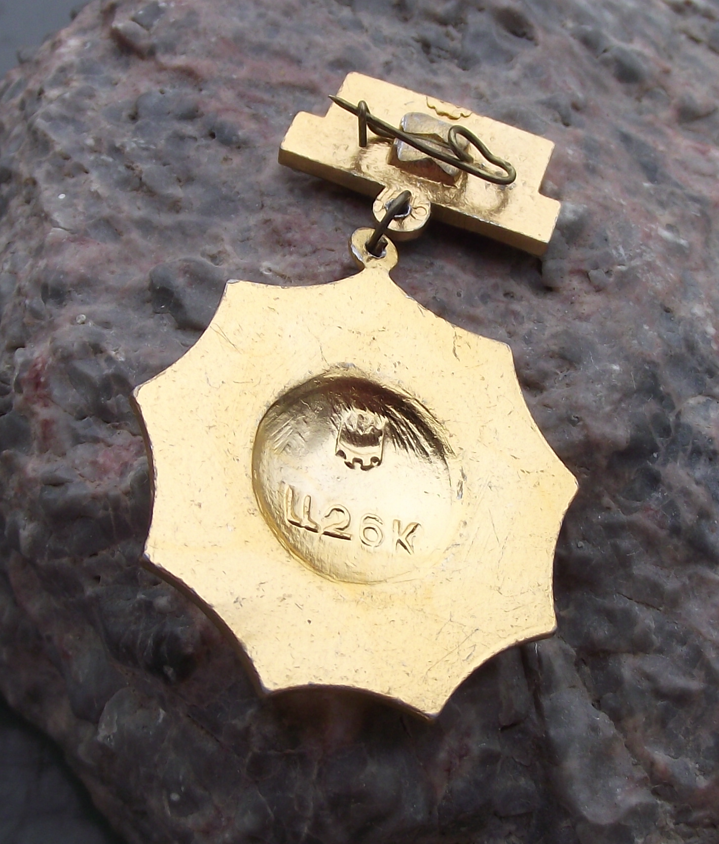 Vintage Vladimir VI Lenin Medal Style Pin Badge