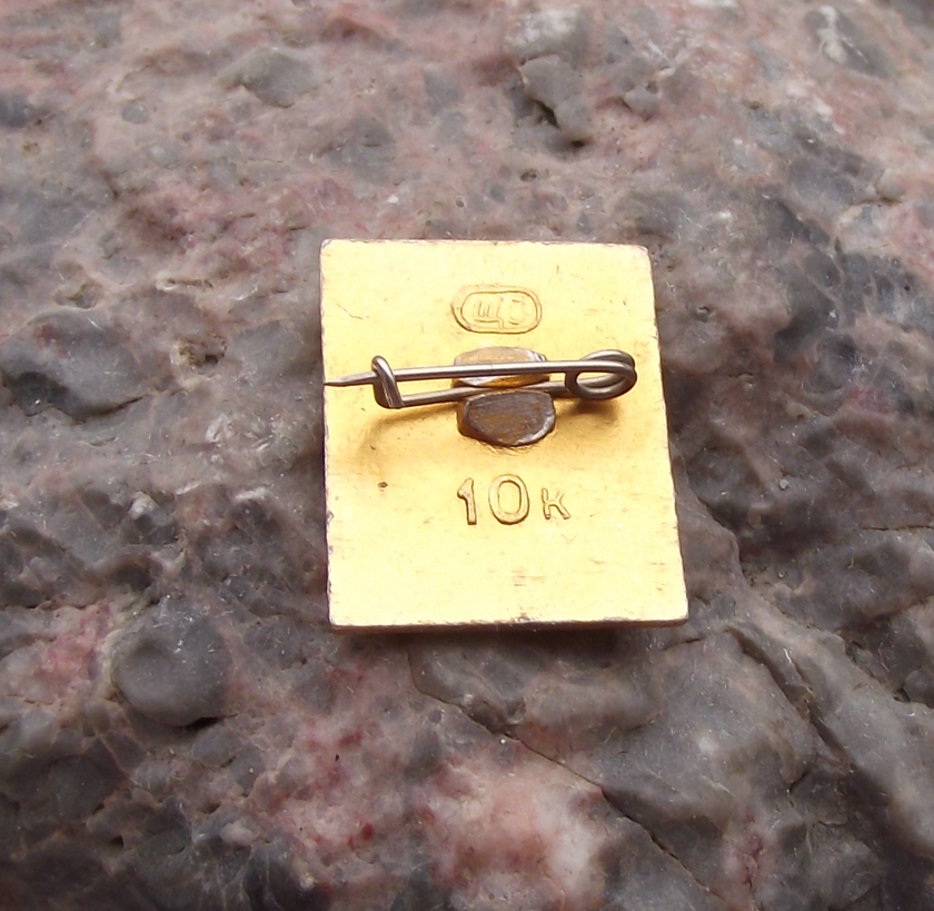 Vintage VI Lenin Socialist Revolutionary Russian Revolution Pin Badge