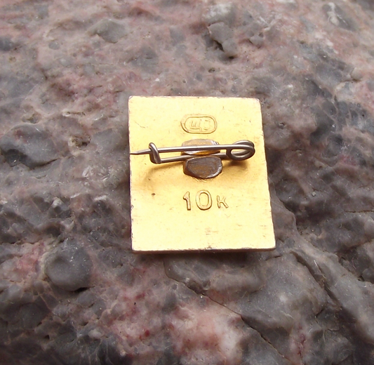 Vintage VI Lenin Socialist Revolutionary Russian Revolution Pin Badge
