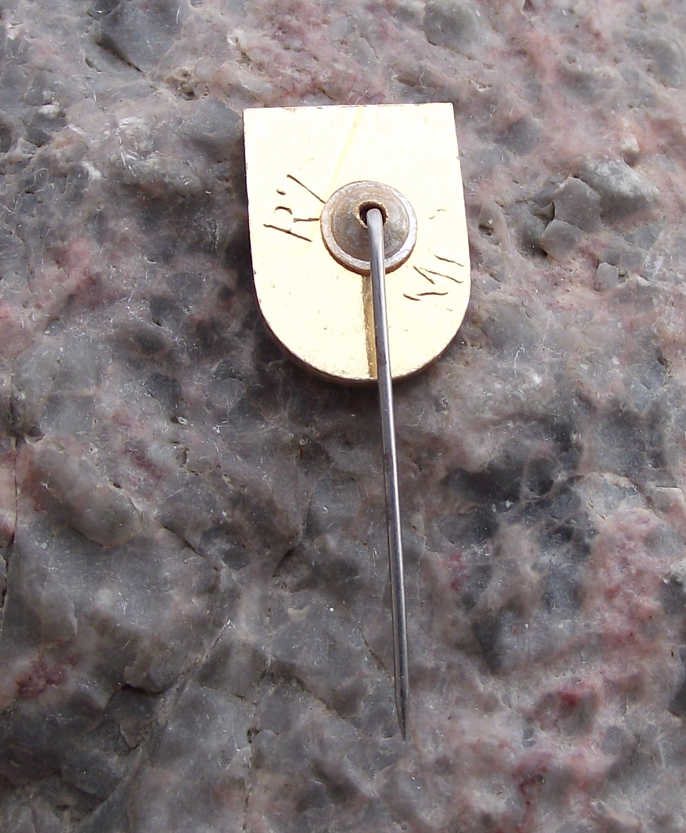 Vintage Poland Heraldic Polish City Town Crest Ruciane Nida Pin Badge