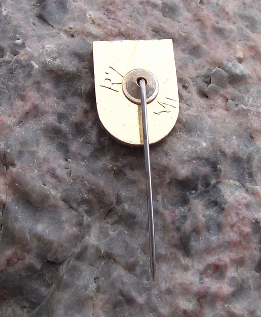 Vintage Poland Heraldic Polish City Town Crest Ruciane Nida Pin Badge