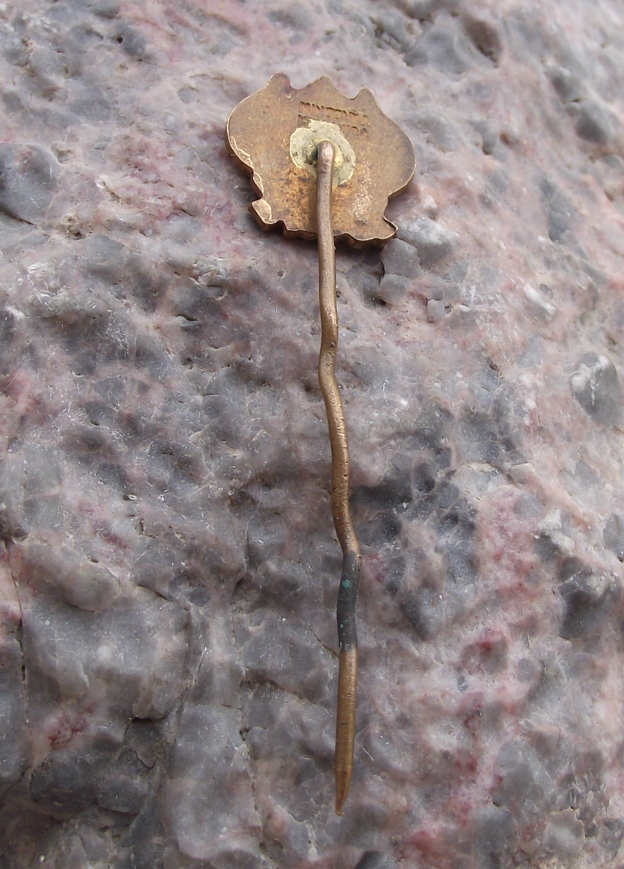 Vintage Czech Lime Tree Leaves Leaf Crossed Soviet Czech Flags SCSP Pin Badge - Badgecrazy