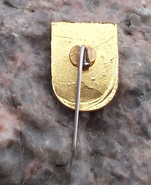 Vintage Poland Heraldic Polish City Town Crest Susz Pin Badge