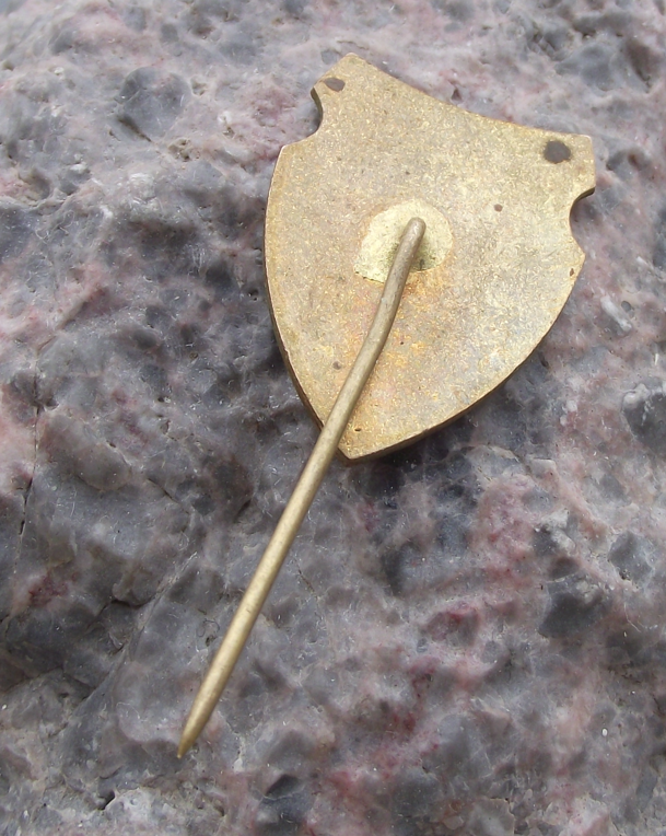 1976 Falconry Association Meeting Ceske Budejovice Eagle Falcon Pin Badge - Badgecrazy