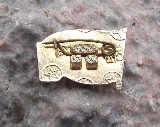 Vintage VI Lenin Head Profile Communist Leader on Red Flag Pin Badge