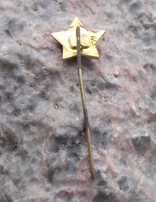 Vintage Lenin Head Profile Communist Leader Gold Star Shaped Pin Badge