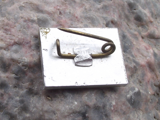 Vintage Vladimir Lenin Communist Leader on Hammer Sickle Flag Pin Badge